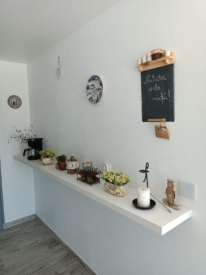Cabana De Pe Stanca Colibita Ngoại thất bức ảnh